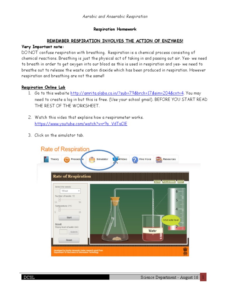 Cellular respiration assignment quizlet picture