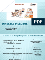 273420413 Diabetes Mellitus