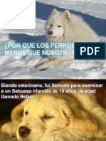 Por Que Los Perros Viven Menos Que Nosotros