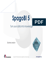 Spagobi 5: Turn Your Data Into Knowledge