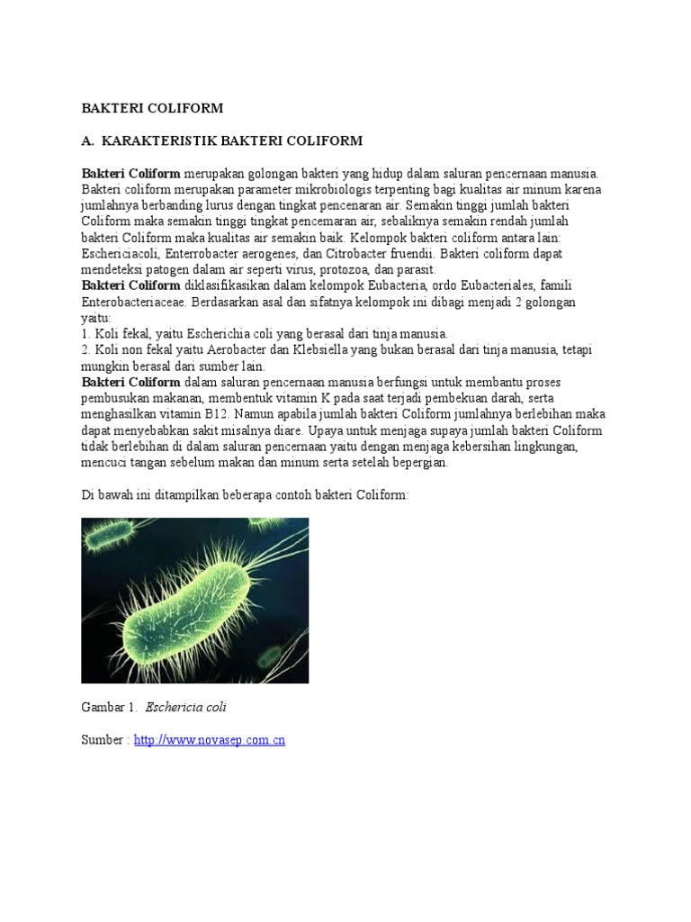 Karakteristik dan Klasifikasi Bakteri Coliform | PDF