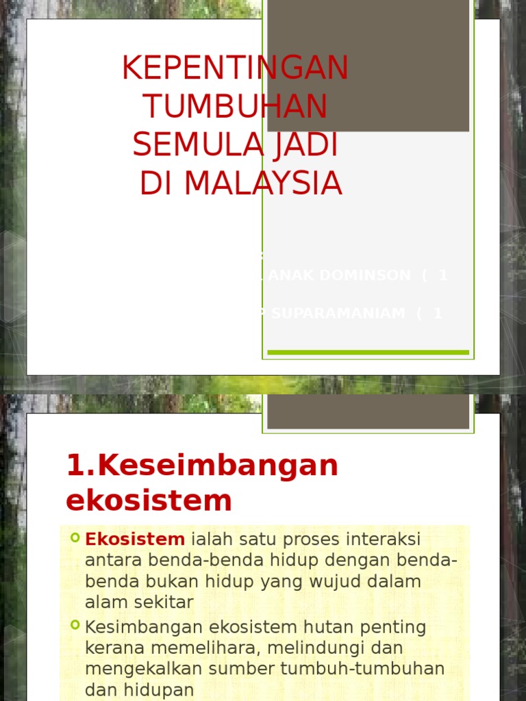 Kepentingan Tumbuhan Semula Jadi Pdf