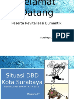 Revitalisasi Bumantik DBD 2012