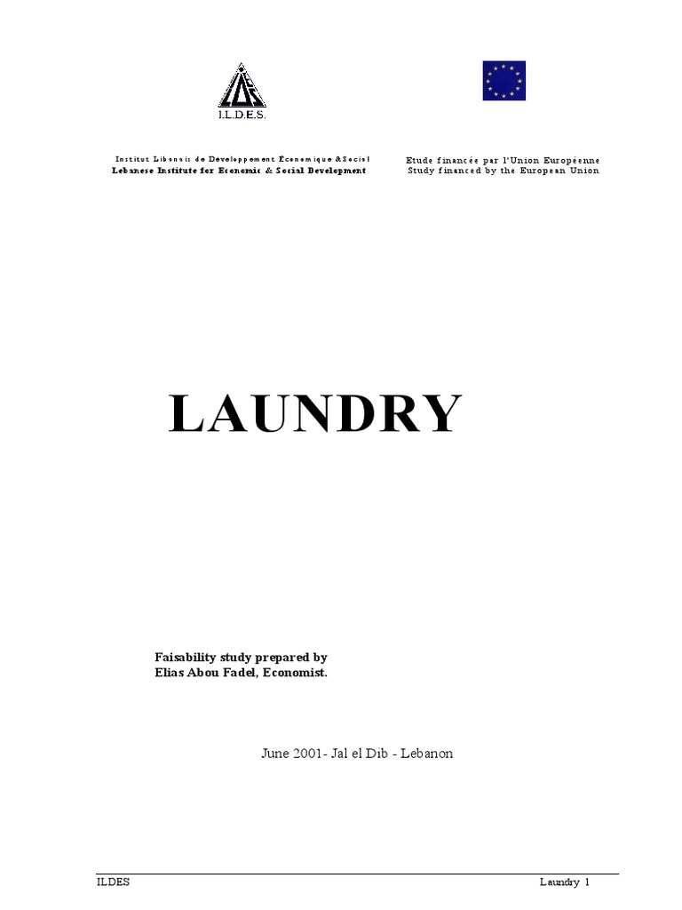 En Laundry Revised PDF Profit (Accounting) Margin (Finance)
