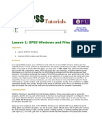 SPSS Windows and File Types