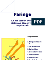 Faringe