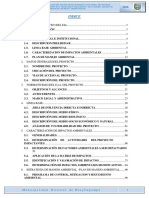 2 - EIA Huayllapampa V.F PDF