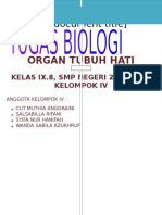 Organ Tubuh Hati