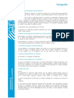 Cistografía PDF