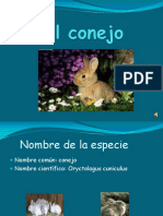 Cría de Conejos