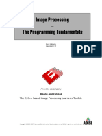 DIP_Programming_Fundamentals.pdf