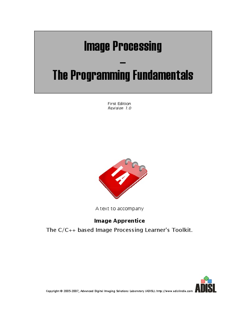 DIP Programming Fundamentals PDF | PDF | Pointer (Computer Programming ...