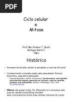Aula 3 - Interfase e mitose.ppt