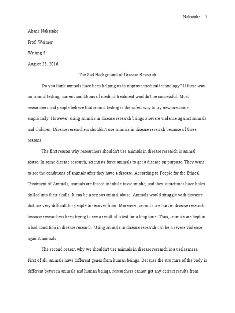 argument essay animals | Animal Testing | Scientist