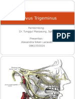 Embriologi, Neurofisiologi, Neuroanatomi Dan Topografi Nervus Trigeminus