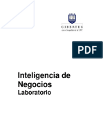 Inteligencia de Negocios Laboratorio