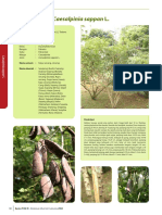 Caesalpinia sappan L..pdf