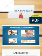 Sistema Circulatorio PPT