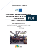 Orientaciones académicas CTE-PETC 2016 (fase intensiva).docx