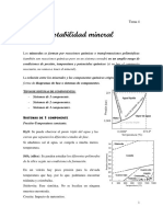 Tema 4. Establidad Mineral PDF