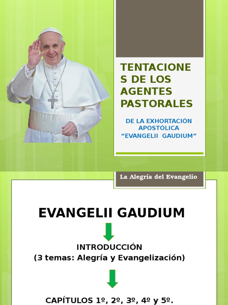 Tentaciones De Los Agentes Pastorales Pdf Iglesia Católica