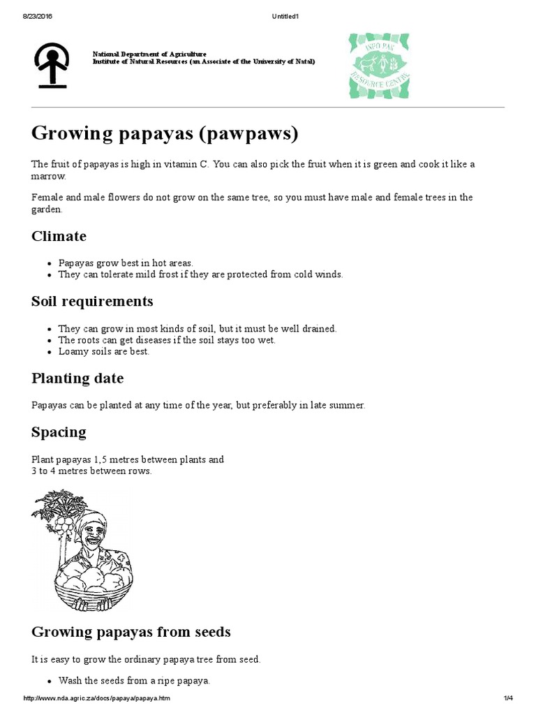 Growing Papayas (Pawpaws) Climate PDF Trees Soil