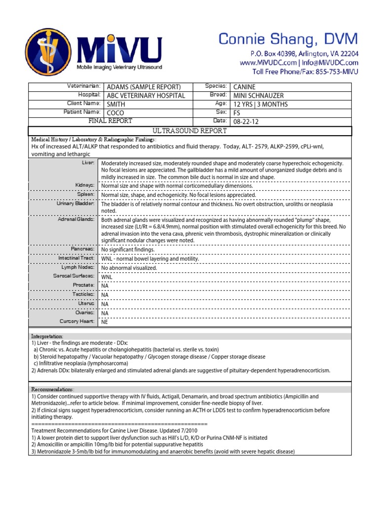 ultrasound business plan sample