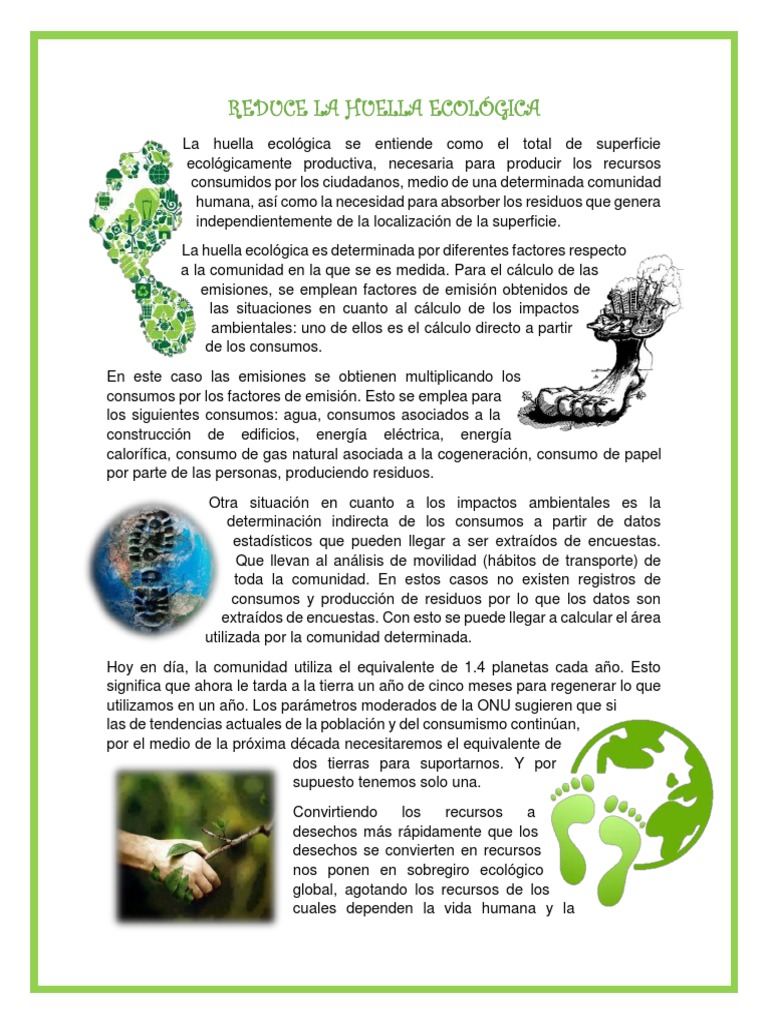 Objetivo de la Huella Ecológica en Abbyga | PDF | Ecología | Residuos