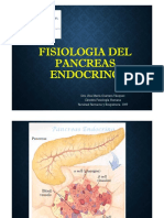 F.H. Pancreas Endocrino 2016