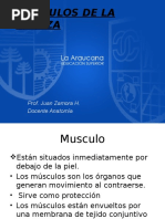 Musculos Cabeza Osea