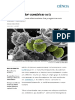 O Superantibiótico' Escondido No Nariz - Ciência - EL PAÍS Brasil