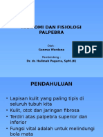 Anatomi Dan Fisiologi Palpebra