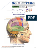 Nueva Medicina Germanica Hamer Otras Constelaciones Cerebrales