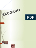 EXUDADO