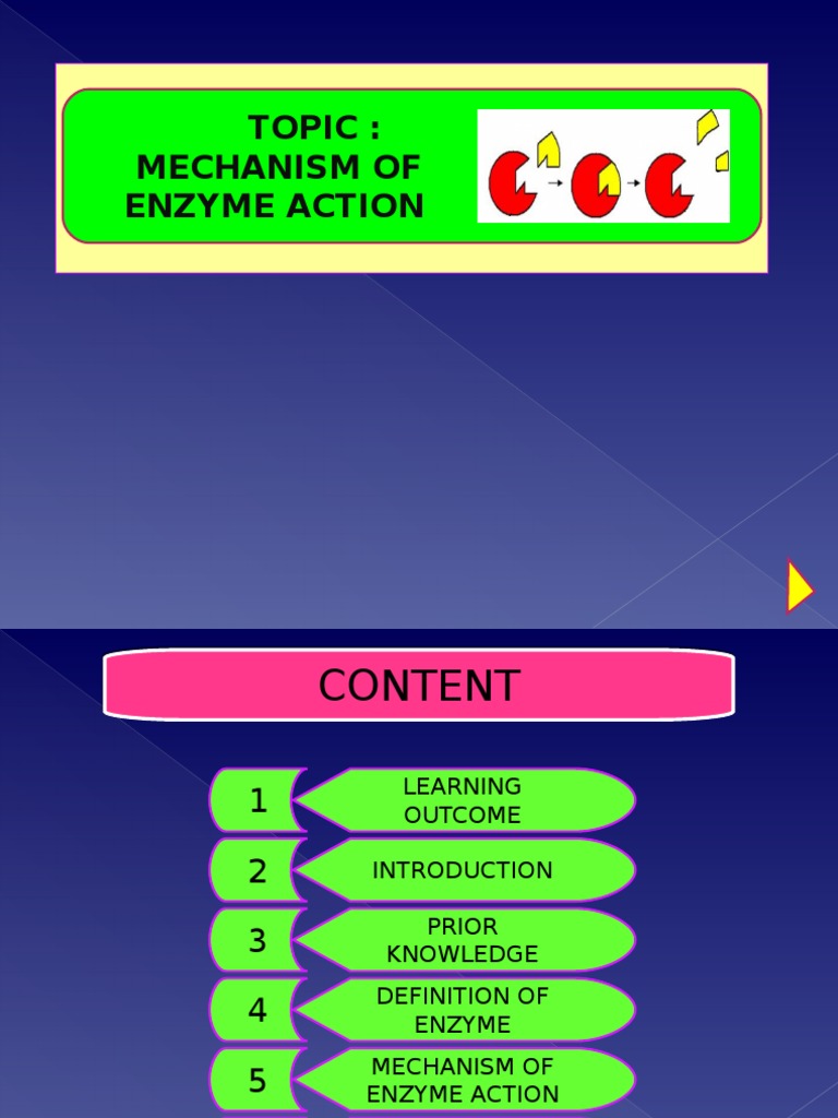 Mechanism of Enzyme Action Explained | PDF | Active Site | Enzyme