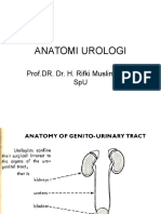 Anatomi Urologi: Prof - Dr. Dr. H. Rifki Muslim, SPB, Spu