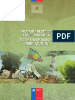Prog 4to Mapuzugun PDF