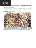 Download Bros Cangkang Kerang by Tugiyoda SN322023877 doc pdf