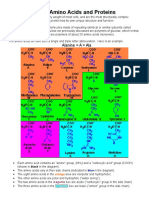 amino-acids-and-proteins.doc