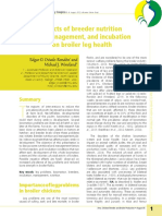 pl06 PDF