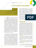 pl15.pdf