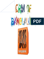 CRM of Banglalink FInal BL Logo