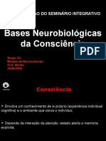 Bases Neurológicas Da Consciência
