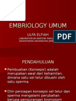 Embriologi Umum (DR - Ulfa)