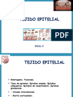 02 Tejido Epitelio 2016-I