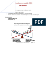 Sistemul Nervos Vegetativ Simpatic - COLINERGIC