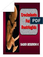 Restricción PDF