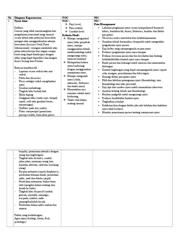 Nanda Nic Noc Nyeri Akut