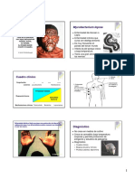 07 Mycobacterium Leprae (Modo de Compatibilidad)