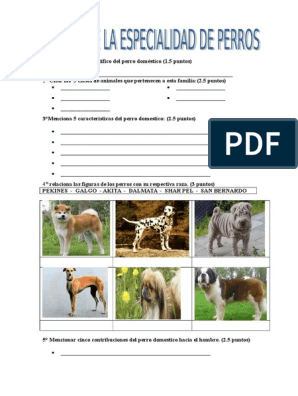 formar Subordinar Ewell Exam... Perros Especialidad | PDF